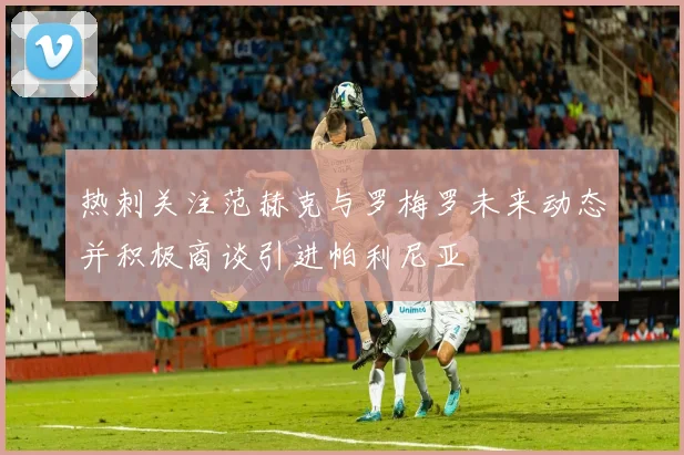 热刺关注范赫克与罗梅罗未来动态并积极商谈引进帕利尼亚